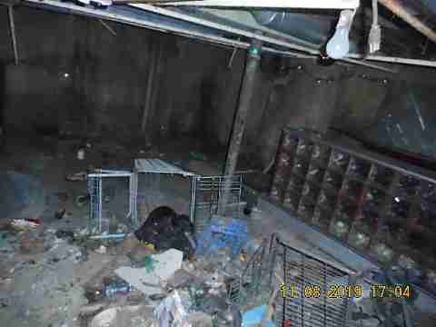 2447 Clements (46)_m.jpg